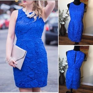 JCrew Sleeveless Lace Sheath Dress Caribbean Blue
